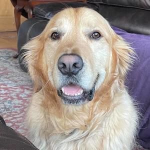 Meet your Posher, Lara